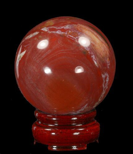 Colorful Petrified Wood Sphere #41939